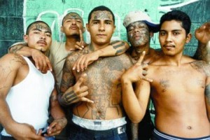 With the Focus on Syria, Mexico Burns